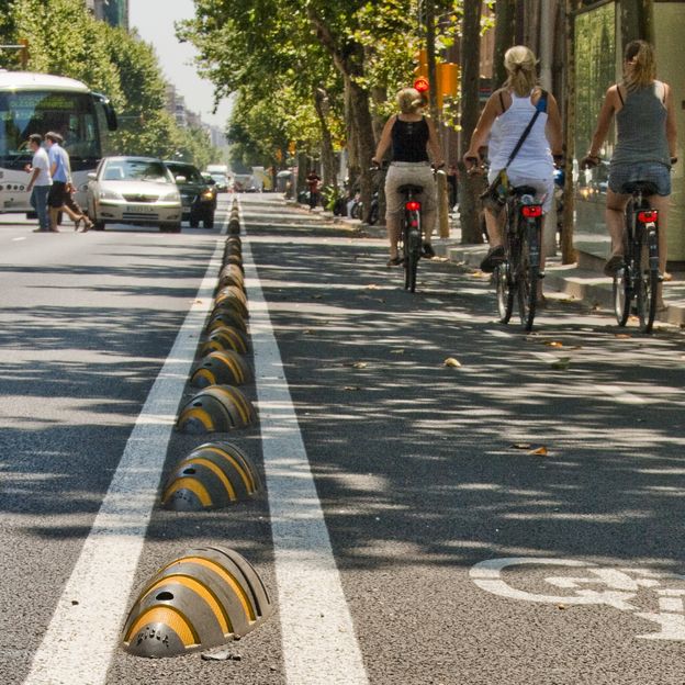 Zebra séparateur pistes cyclables carré