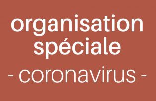 visuel organisation spéciale contre le coronavirus
