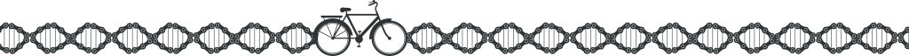 ADN vélo visuel année 2023