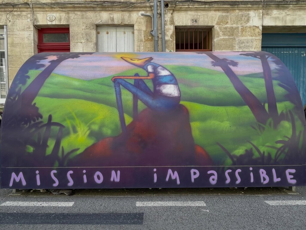 ALTAO Cover personnalisé par l'artiste A-MO à Bordeaux